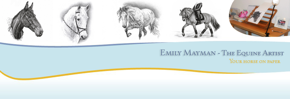 Emily Mayman - The Equine Artist - Your horse on paper