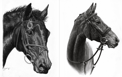 Ryan and Peewee A4 Commissions